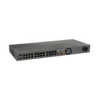 S1-A-G-B01-S10G02-E01G24-A00B00P00:T/DC/L Коммутатор/ L3 управляемый коммутатор TORUS S1-1-24PL, 24х10/100/1000 Mbps RJ45, 2x 10 GbE SFP+ , LTE (wideband) CAT9, 4 eSIM, Консольный порт USB Type C, 16к MAC-адресов, 1 встроенный БП, AC: 90–260 В, 50–60 Гц D