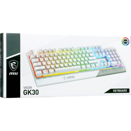 S11-04RU304-CLA Клавиатуры/ VIGOR GK30 WHITE RU фото 14