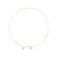 AD020089 Узел барабана/ CHARGE CORONA WIRE - G