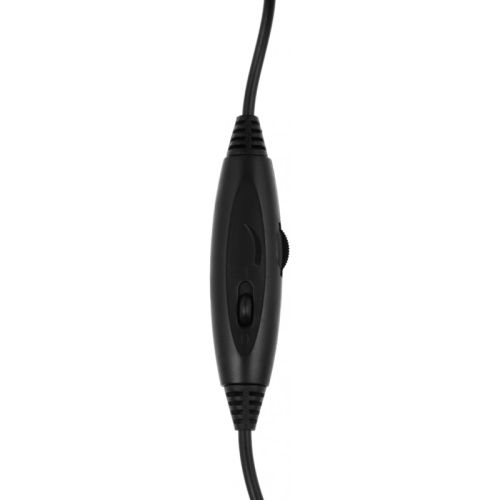 HU-50 Наушники с микрофоном A4Tech HU-50 черный 2м накладные USB оголовье фото 15 HU-50 Наушники с микрофоном A4Tech HU-50 черный 2м накладные USB оголовье фото 15