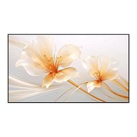P165S Экран на раме Xgimi 127.6x224.5см 100" UST ALR Screen 16:9 настенный рулонный