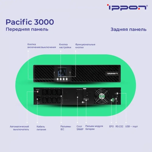 1976002 ИБП Ippon Pacific 3000 фото 19