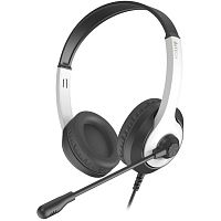 FH100U(PANDA) Наушники с микрофоном A4Tech Fstyler FH100U белый/черный 2м накладные USB оголовье (FH100U (PANDA))