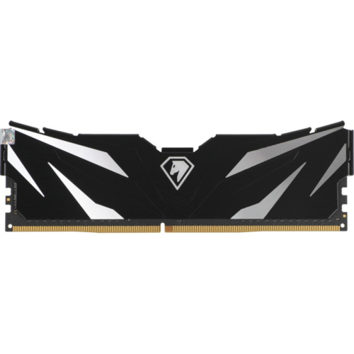 NTSWD4P32DP-16K Модуль памяти Netac DIMM 16GB DDR4-3200 K2 NTSWD4P32DP-16K фото 2 NTSWD4P32DP-16K Модуль памяти Netac DIMM 16GB DDR4-3200 K2 NTSWD4P32DP-16K фото 2