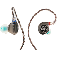 6953175740988 внутриканальные наушники/ FIIO FH11 Чёрный