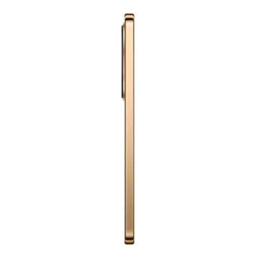 5109BYPX Смартфон HONOR X9d 12+256GB коричневый (5109BYPX) фото 11