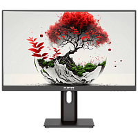 2201K/F05B0100V2A1A Монитор RDW2201K ЕМТЦ.467846.009 21,5" 1920x1080(FHD) IPS 60Hz 5мс 178°/178 250cd VGA HDMI DP Наклон, Внешний БП, Динамики, черный, VESA 100*100, реестр 10538523
