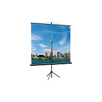 LEV-100103 Экран на треноге Lumien 200x200см Eco View LEV-100103 1:1 напольный рулонный