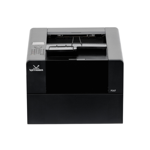 P247ep-pp Принтер "Катюша" P247 (артикул: P247ep-pp) фото 3