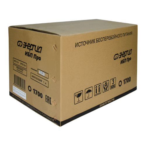 Е0201-0030 ИБП Pro-1700 12V Энергия/ UPS Pro-1700 12V Energy фото 7