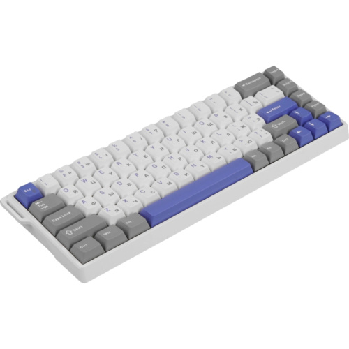 6978080504081 Игровая клавиатура/ Механическая клавиатура AULA WIN68HE MAX Бело-серо-синий магнитные свитчи фото 2 6978080504081 Игровая клавиатура/ Механическая клавиатура AULA WIN68HE MAX Бело-серо-синий магнитные свитчи фото 2