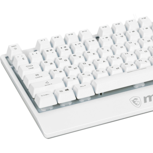 S11-04RU304-CLA Клавиатуры/ VIGOR GK30 WHITE RU фото 2