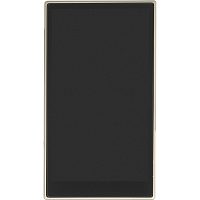 6953175761181 Hi-Fi-плеер/ FIIO M21 (F3071M) Титаново-золотой