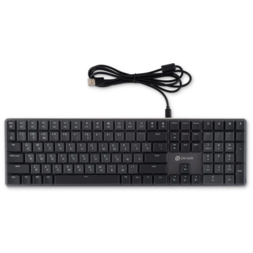1901086 Клавиатура Oklick K953X механическая черный/серый USB Multimedia LED (1901086) фото 18 1901086 Клавиатура Oklick K953X механическая черный/серый USB Multimedia LED (1901086) фото 18