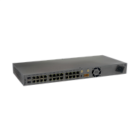 S1-A-G-B01-S10G02-E01G24-A24B08P08:T/DC/L Коммутатор/ L3 управляемый коммутатор TORUS S1-1-24PL, 24х10/100/1000 Mbps RJ45, 2x 10 GbE SFP+ , LTE (wideband) CAT9, 4 Esim, PoE 802.3af/at/bt, Passive PoE 24-48v, Консольный порт USB Type C, 16к MAC-адресов, 1